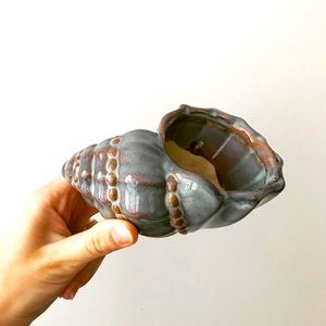 Seashell trinket dish or planter